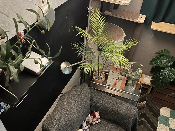 short form carousel card thumbnail