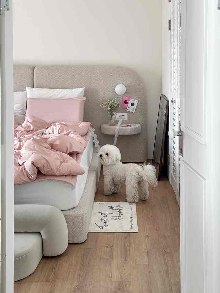 柔らかい木目調の床とベージュのベッドフレーム、ピンクの寝具が配置されたナチュラルモダンな寝室に小さな白い犬が立っている
