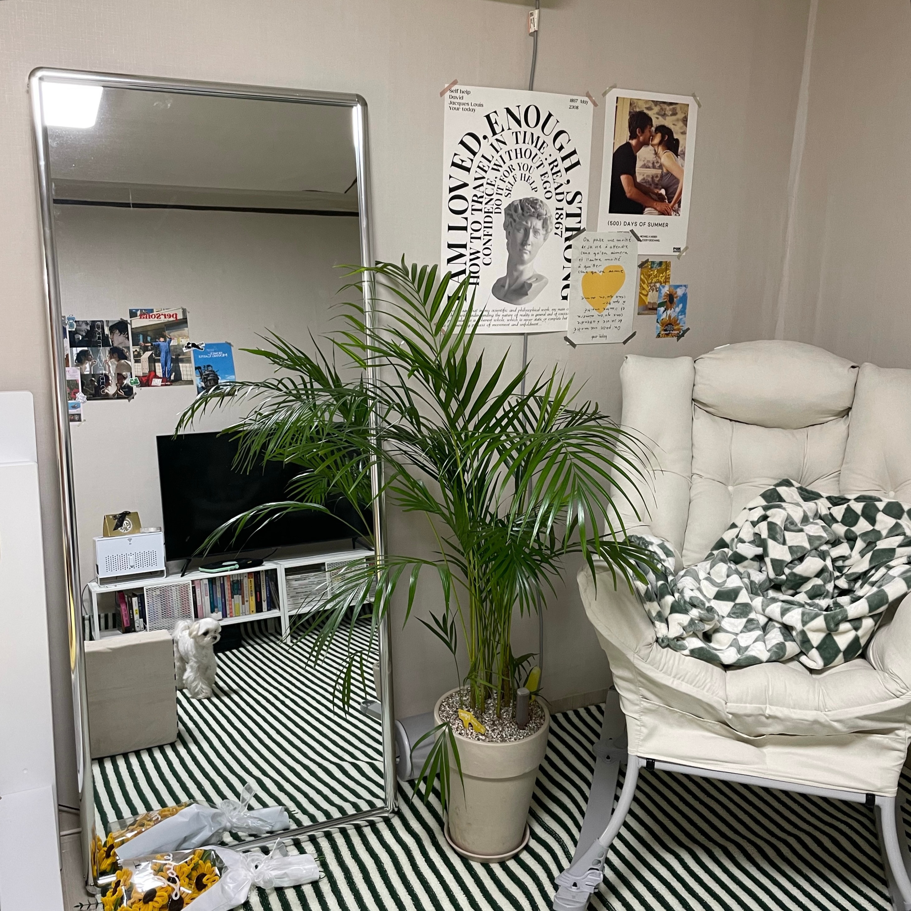 Point Striped Textured Rug user photo