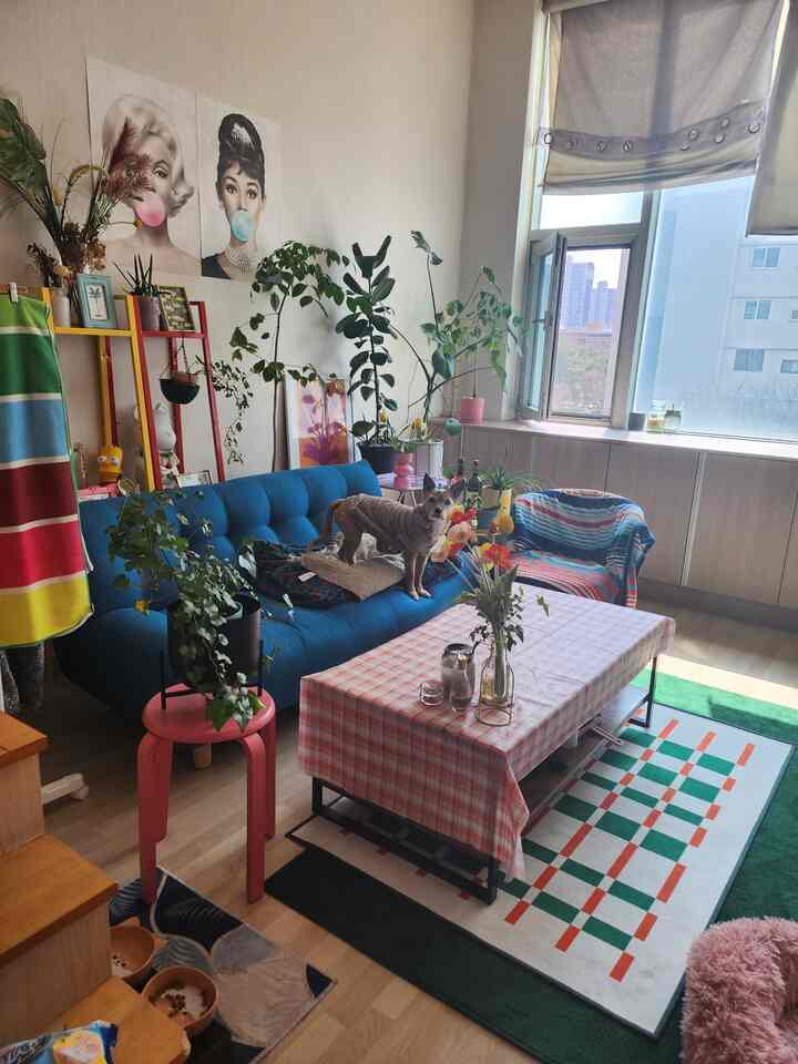 ブルーのソファと豊富な植物が配置された明るく自然なリビング、ソファの上に犬がいる印象的な空間