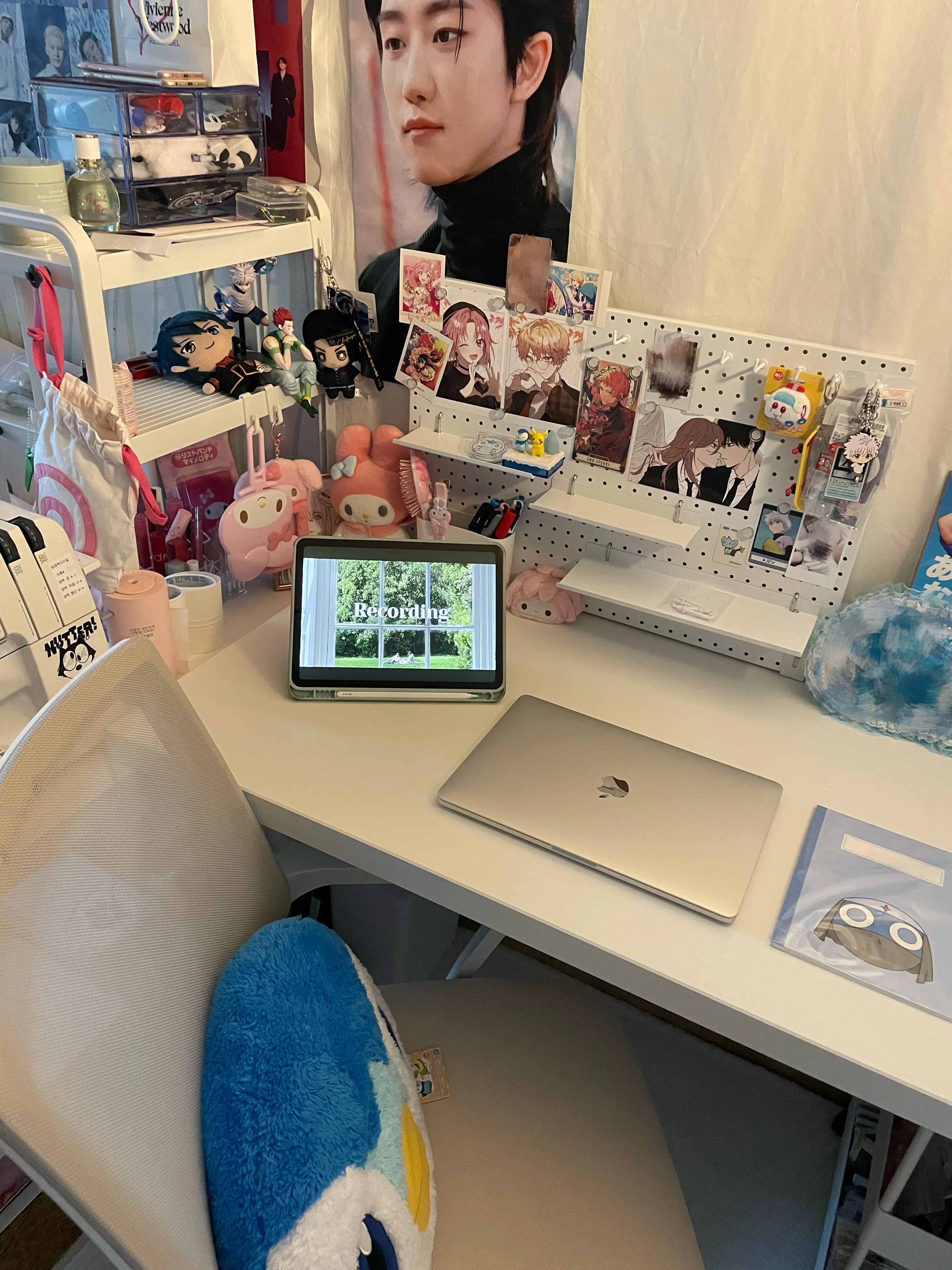 Adjustable Desk Storage Shelf (2-Tier) user photo