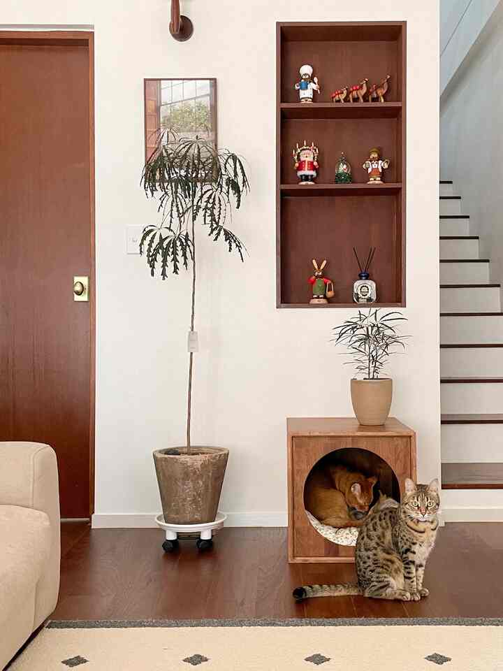 Natural wood-toned living room featuring a cat house and two cats with simple, earthy decor including plants