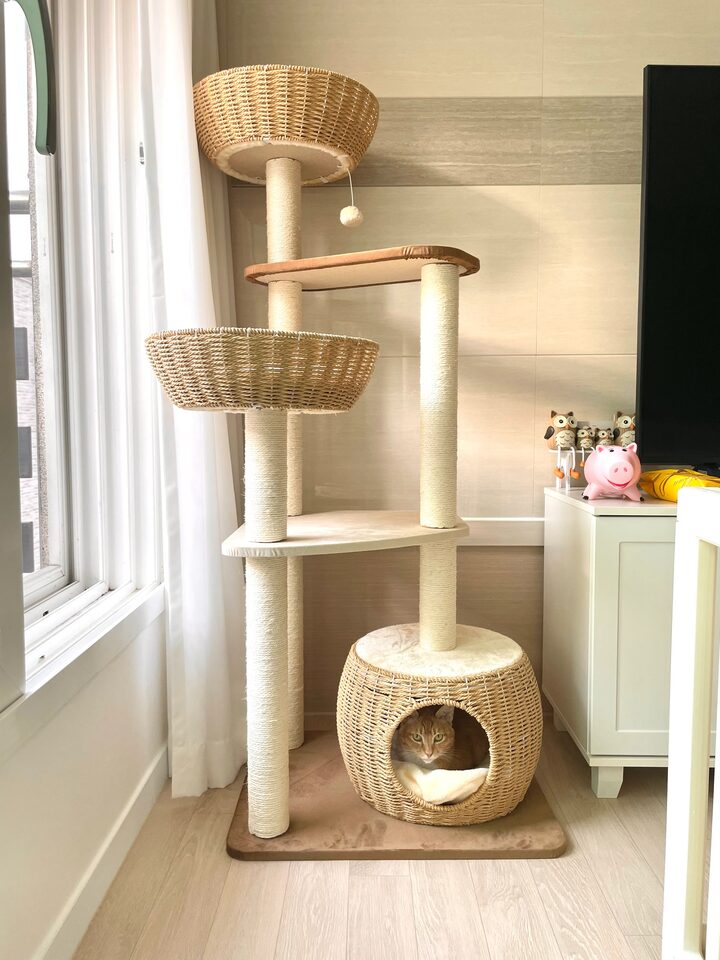 short form carousel card thumbnail