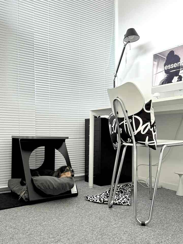 A white and black toned home office space featuring a computer desk and a pet bed with a dog, showcasing a clean interior