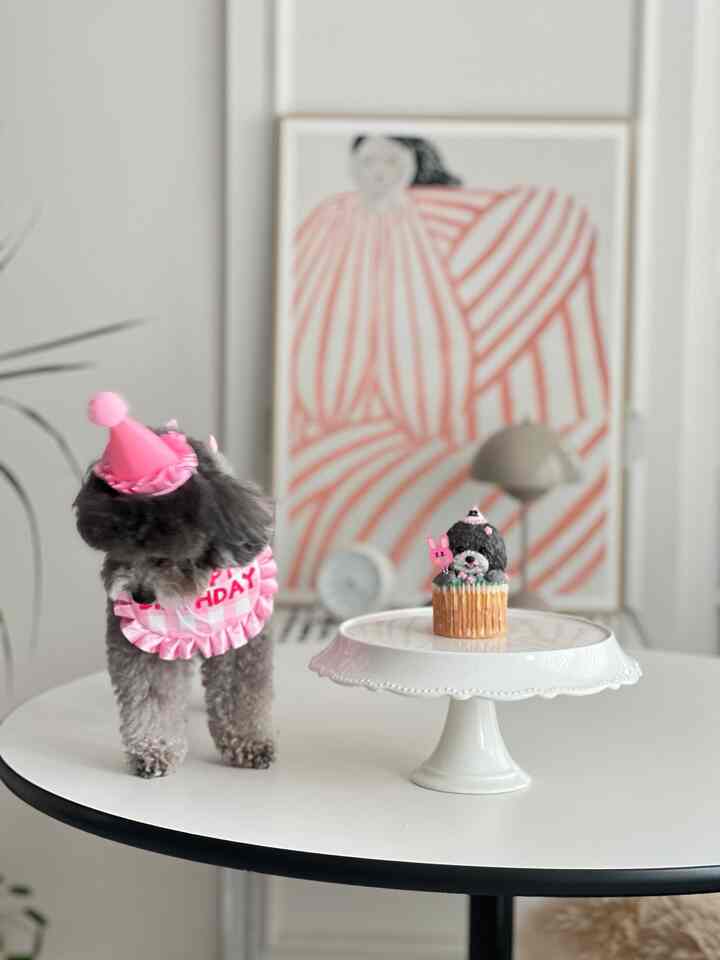 白とピンクの色調のリビングルーム、小さな犬とケーキスタンドが配置された雰囲気のある空間