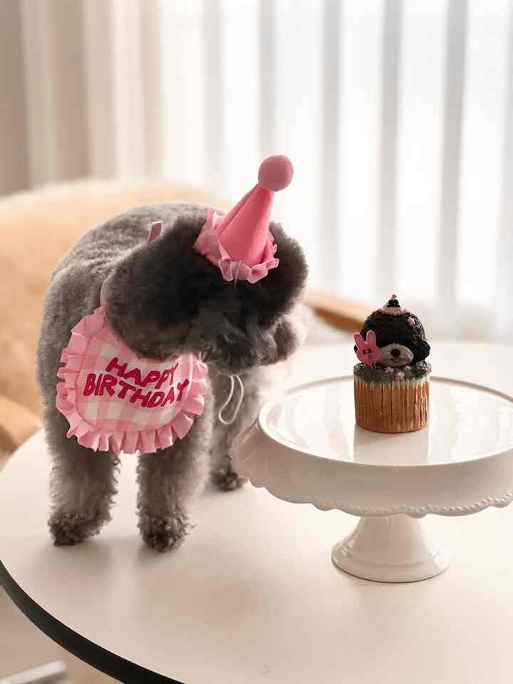 ピンクの誕生日帽とよだれかけを身に着けた犬と、白いトレイに置かれた犬の形のカップケーキがある明るく清潔な空間