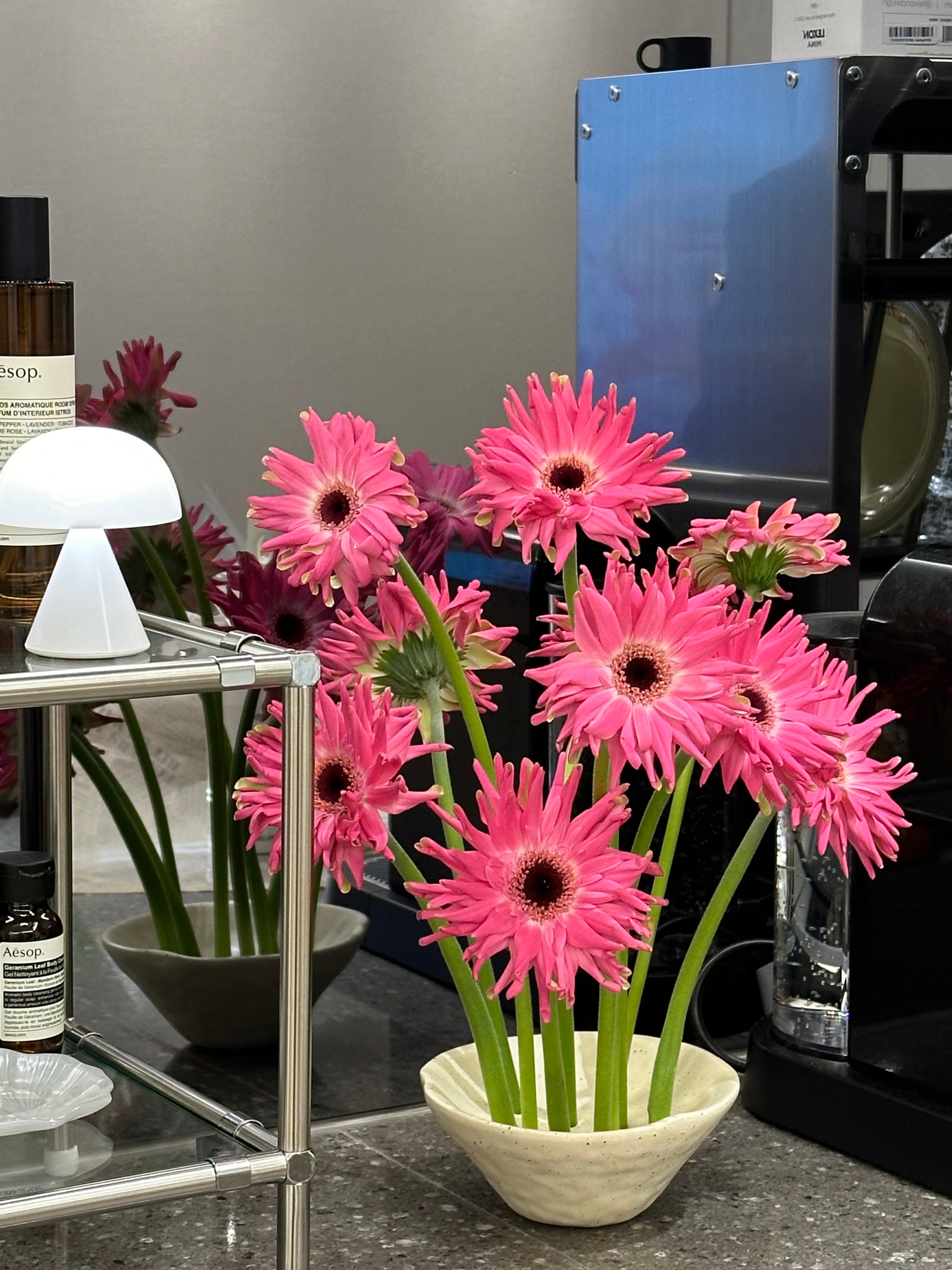 Ikebana Ceramic Vase user photo
