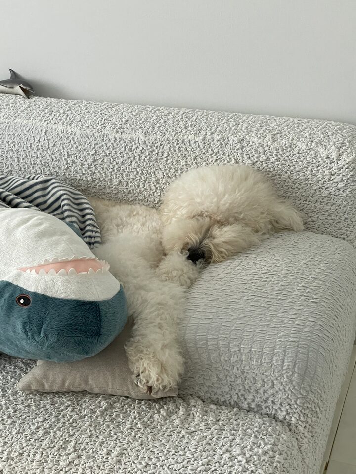 short form carousel card thumbnail