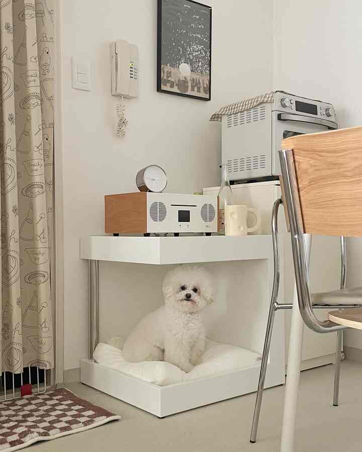 白色のトーンの小さな空間、犬用ハウスとシンプルな家具が配置された温かみのあるインテリア