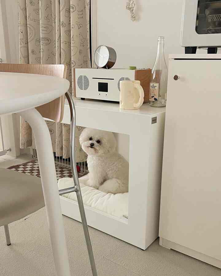 白を基調とした空間、犬用のペットハウスとダイニングチェアが配置されたミニマルでコンパクトなインテリア
