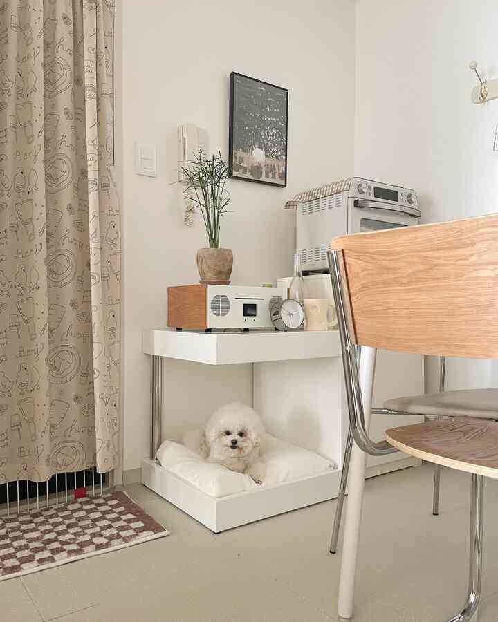 White and wood-tone kitchen corner featuring a cushioned pet bed with a dog, simple furniture creating a cozy atmosphere