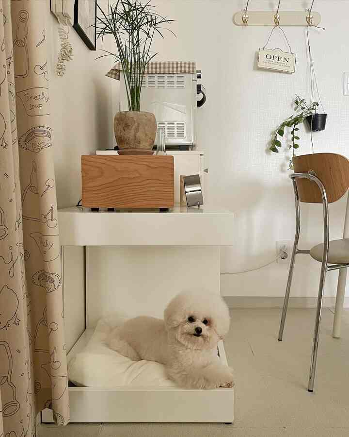 White and natural tone living space featuring a dining chair, pet bed with a fluffy dog, creating a cozy atmosphere