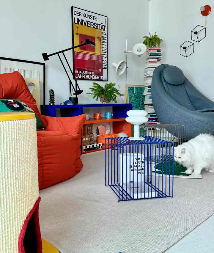 明るくモダンなリビング、赤のビーンバッグと青のメタルスツール、白い猫、多彩な本と植物が配置された空間