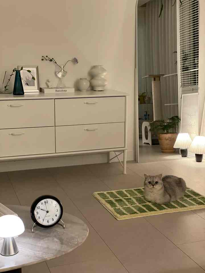 ベージュとホワイトの色調のリビング、緑の格子模様のマットの上に猫が座り、チェストと全身鏡が配置された落ち着いたインテリア