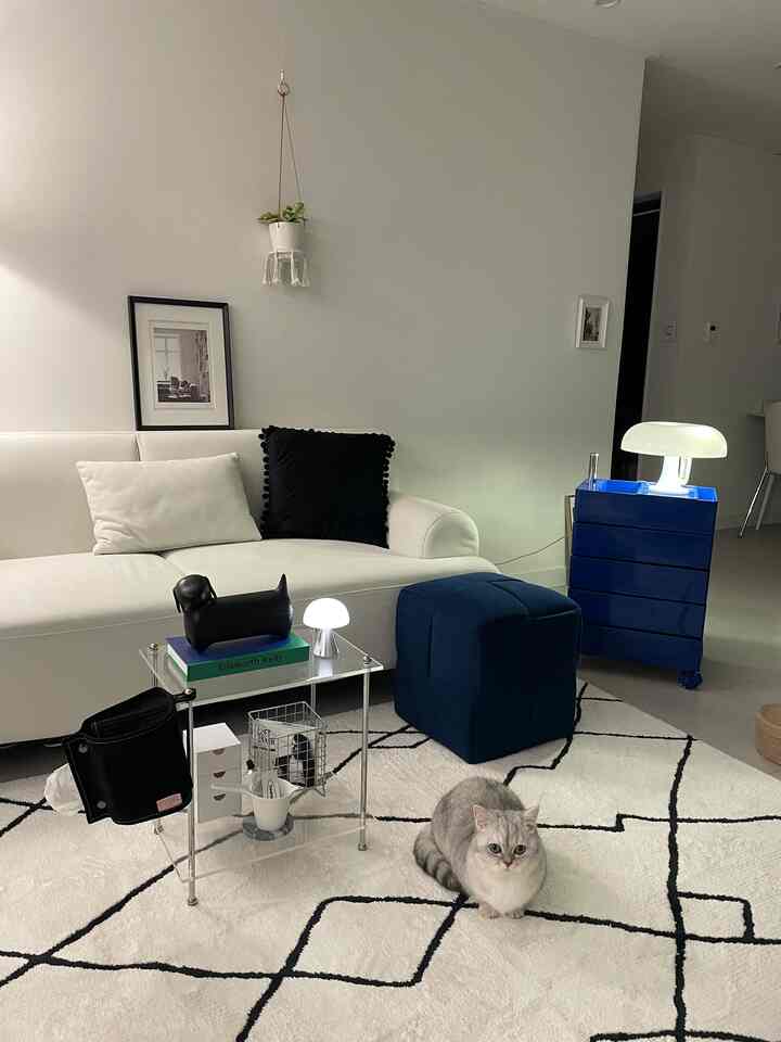 White and blue toned living room featuring a blue stool and trolley with a cat in a modern and simple setting
