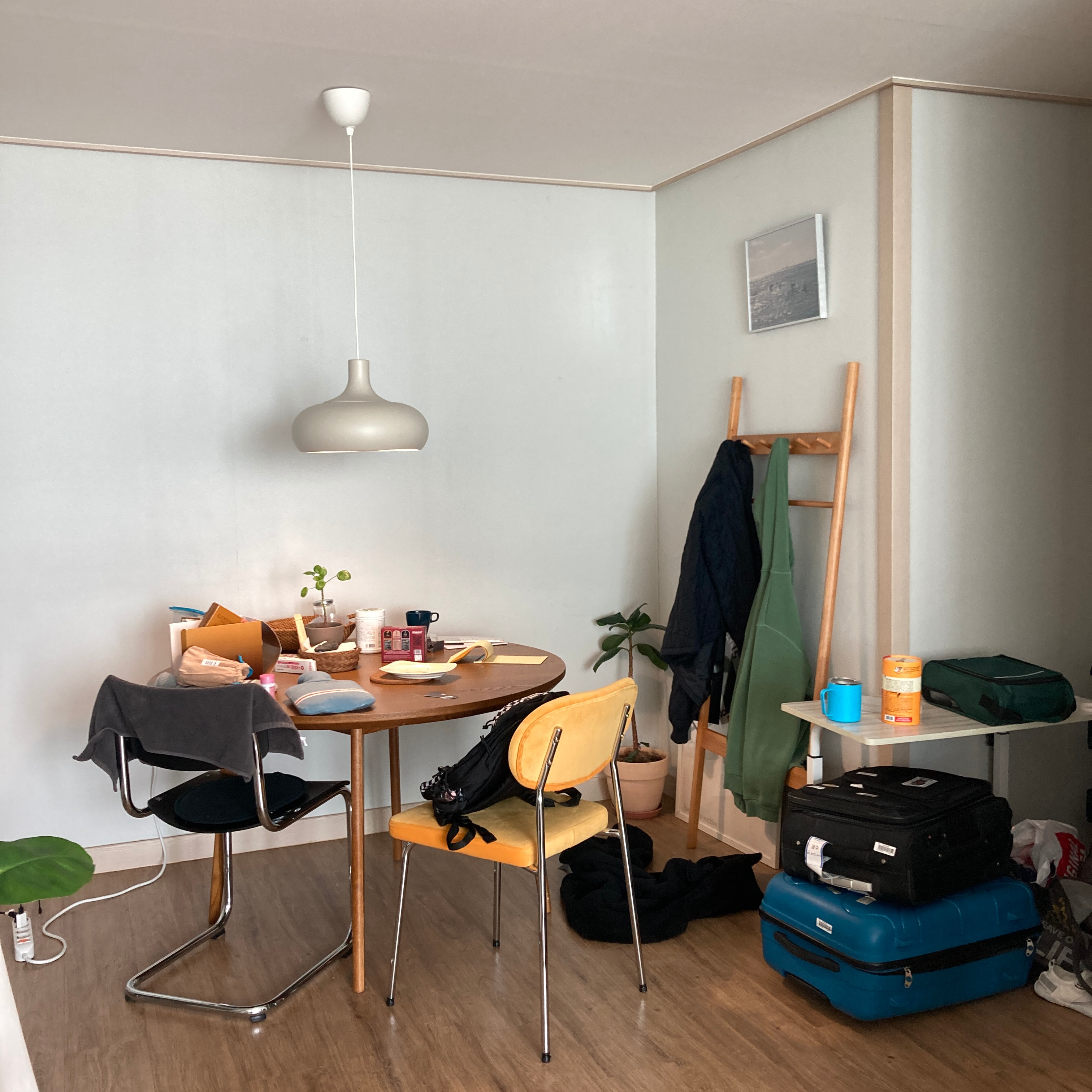 Solid Wood Ladder Clothes Rack Stand user photo