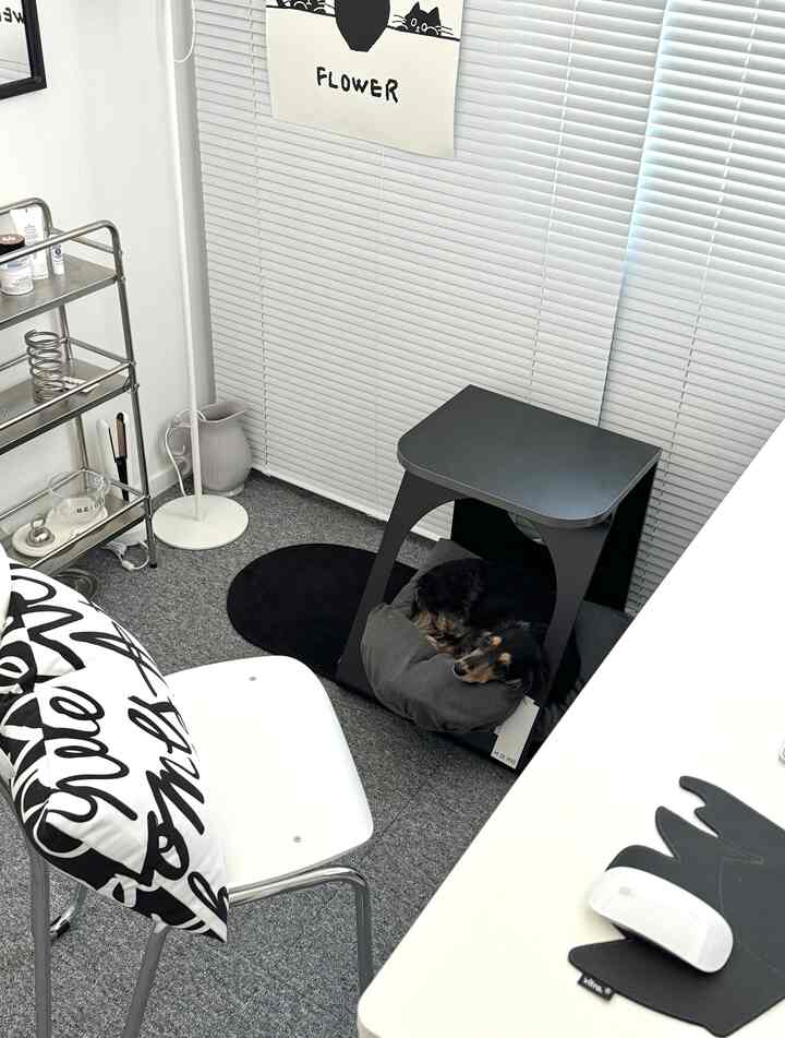 ホワイトとグレーの色調が調和したコンパクトなホームオフィス、黒いサイドテーブルの下で犬がくつろいでいる雰囲気のあるインテリア