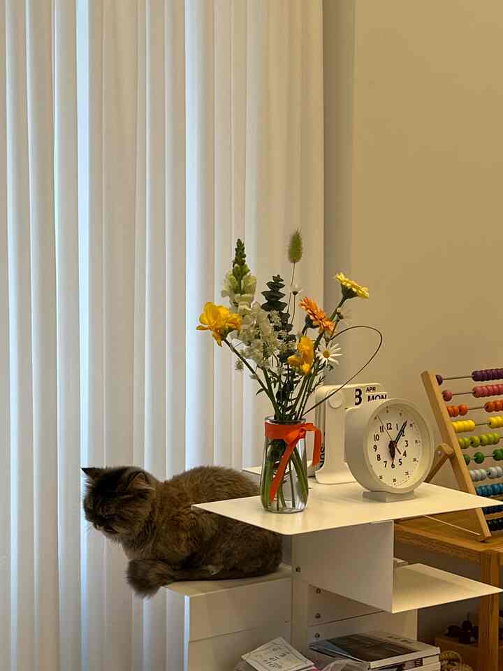 白を基調としたリビング、回転式の本棚の上で猫がくつろぎ、花瓶と時計が置かれた清潔感のあるインテリア