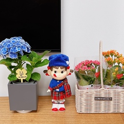 티비장 위에 있는 귀여운 페코짱 입니다 #페코짱 #수국 과 #가랑코에 와 함께두니 귀엽지요🤗