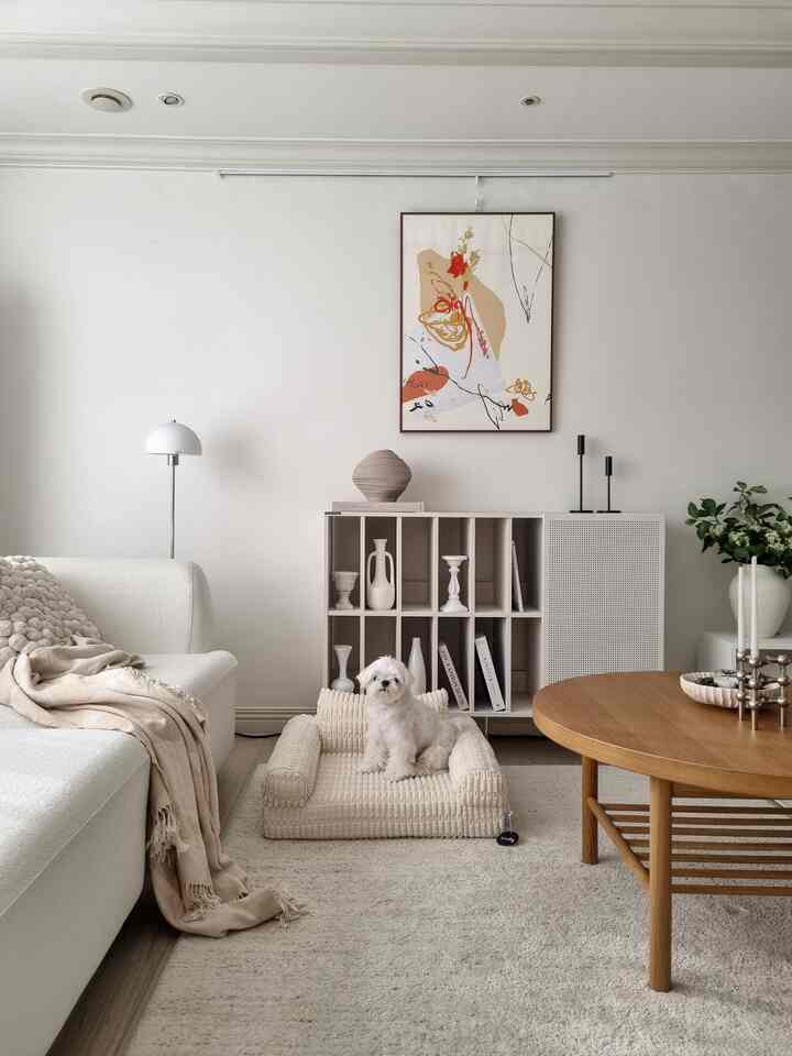 明るく白を基調としたリビング、ブークレ素材のソファと木製の丸いコーヒーテーブル、ペット用ベッドと小型犬が配置されたナチュラルな雰囲気の空間