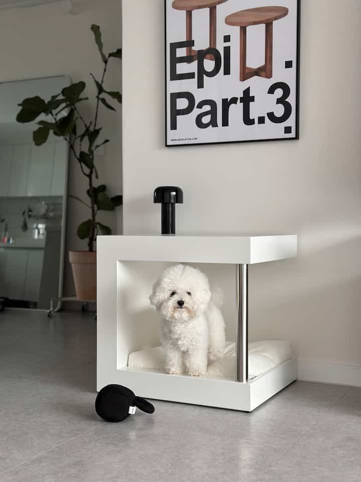 White-toned living room featuring mid-century modern style pet furniture with a fluffy white dog sitting comfortably