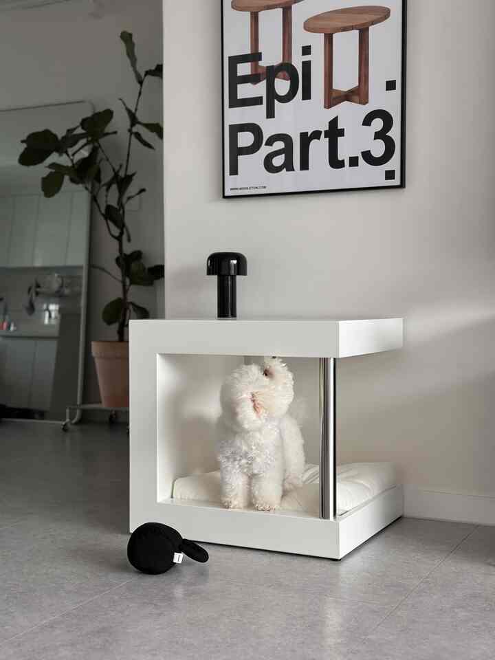 Natural-toned entrance space in white featuring a modern pet house and a small dog, showcasing a clean and minimalistic interior