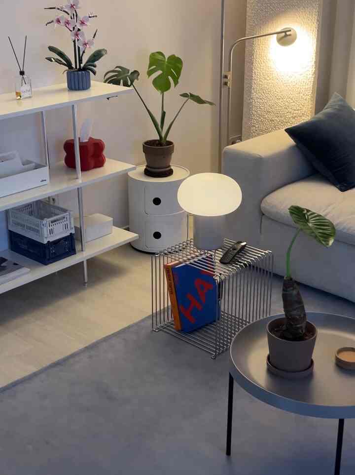 White and gray toned living room featuring modern sofa, coffee tables, and plants in a neat space