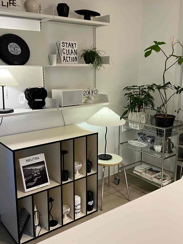 Modern interior space in white and black tones featuring organized shelves, a trolley with plants, and a cozy atmosphere