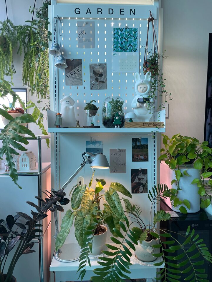 short form carousel card thumbnail