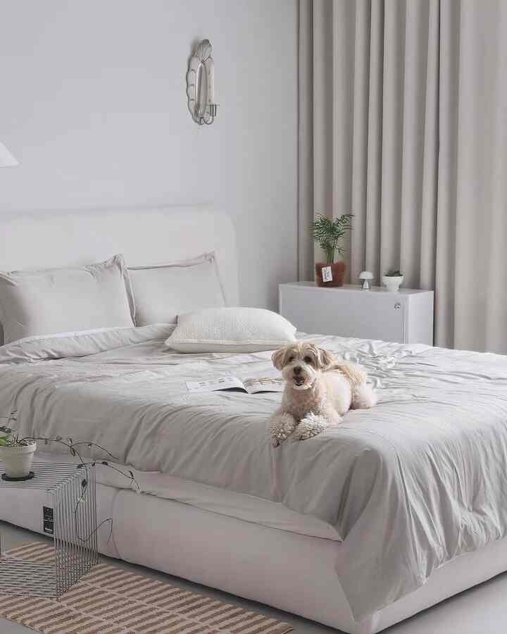 #오늘의우리집 Sangat menyegarkan untuk menggantinya dengan perlengkapan tidur musim panas.
Panas 🦁 jadi saya sudah menyalakan AC dan kipas langit-langit.
Udaranya panas bahkan saat aku sedang tidur jadi aku turun ke lantai dan berbaring.
Saya mengubahnya menjadi tempat tidur musim panas yang sejuk.
Ini pertama kalinya saya menggunakan alas tidur berwarna hijau dan cocok untuk saya😊

#Ikuti saya #예쁜템최고야 #오플루언서 #오크리에이터 #침실인테리어 #침대 #침대프레임 #침대인테리어 #침대추천 #침대꾸미기 #침실 #침실인테리어 #침실꾸미기 #패브릭침대 #패브릭침대프레임 #집들이선물추천 #40평대인테리어 #40평대아파트인테리어 #40평대아파트 #40평인테리어 #집에서제일바빠 #집사일상 #여름침구 #여름침구추천 

