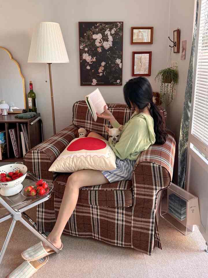 ナチュラルな色調のリビング、茶色のチェック柄ソファと犬を抱く女性が配置された雰囲気のある空間
