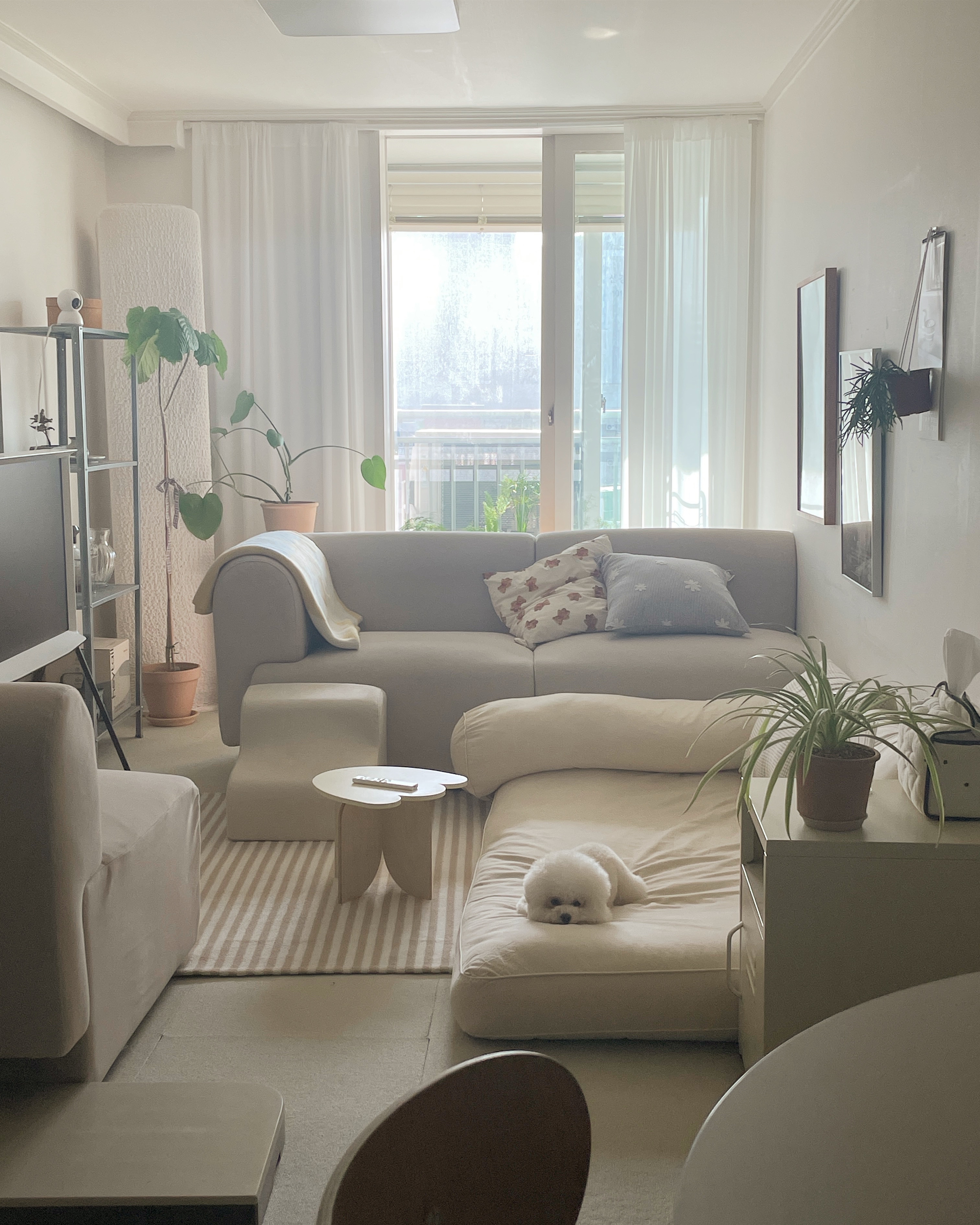 Point Striped Textured Rug user photo