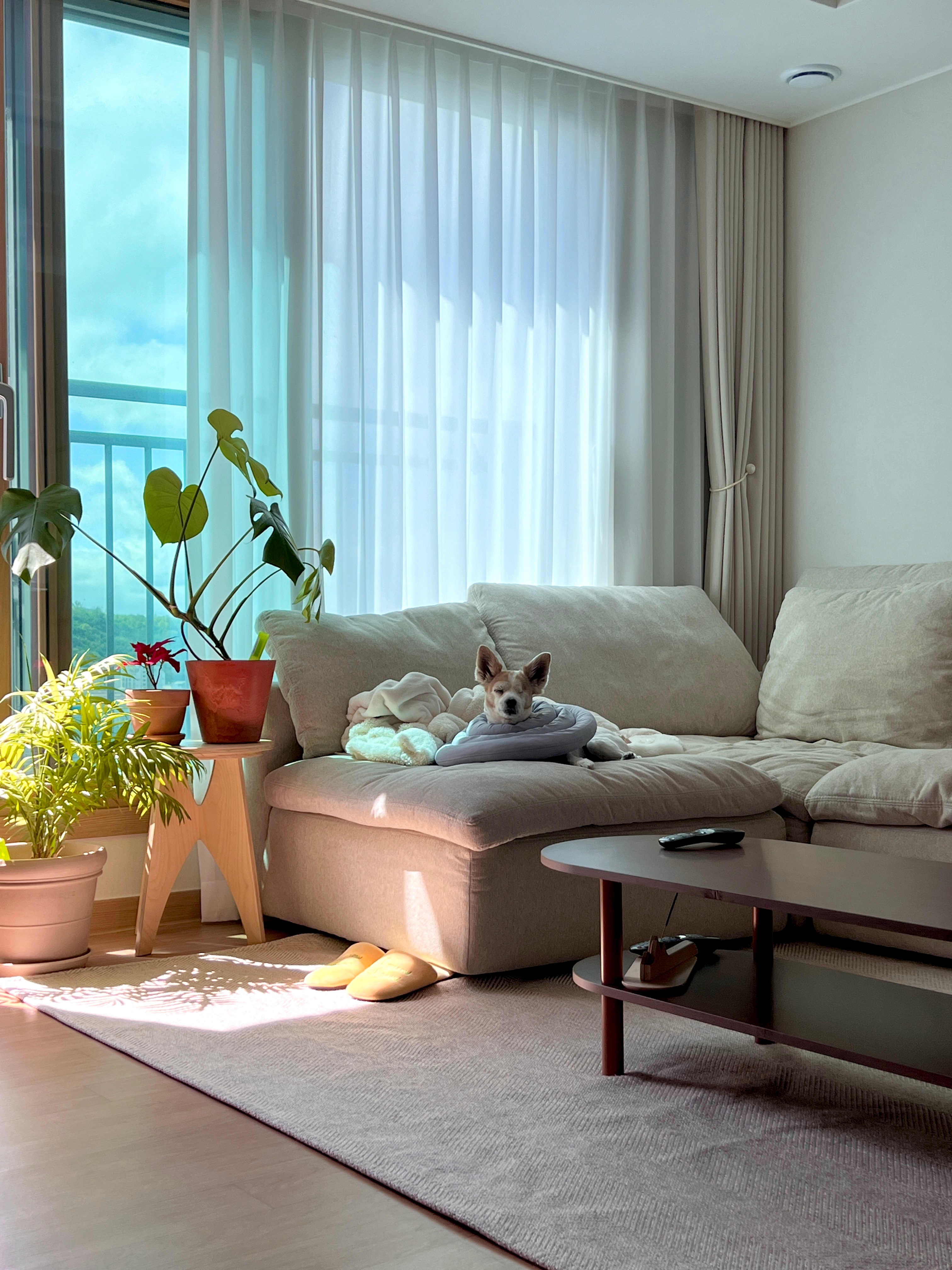 Soft Velvet Home Slippers - Set of 2 user photo