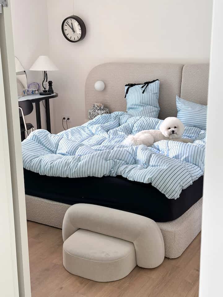 White and blue toned bedroom featuring a hotel-like bed with striped duvet and pillow covers, a cozy pet step in front, and a small white dog on the bed
