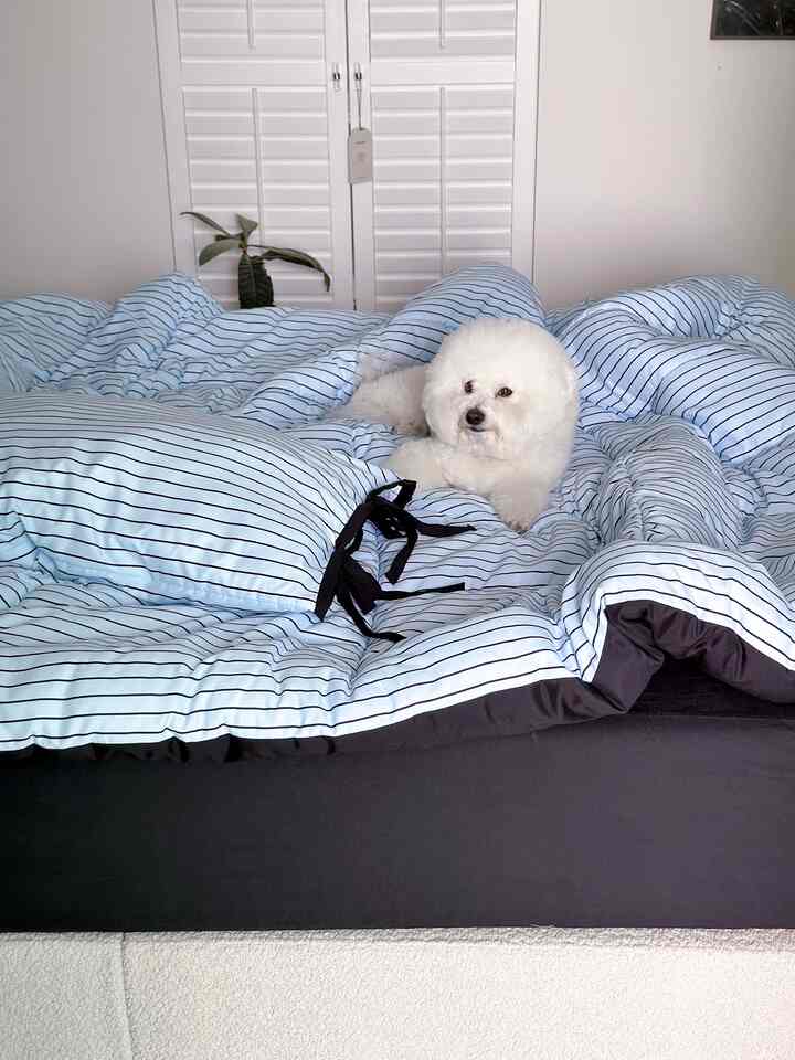 A bedroom in white and black tones featuring striped bedding with a dog resting comfortably on the bed