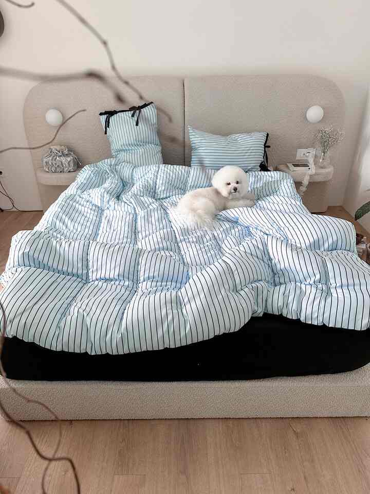 柔らかなホワイトとブルーのトーンが特徴の寝室、大きなベッドにストライプの掛け布団、その上に白い犬が座っている、落ち着いた印象的な空間