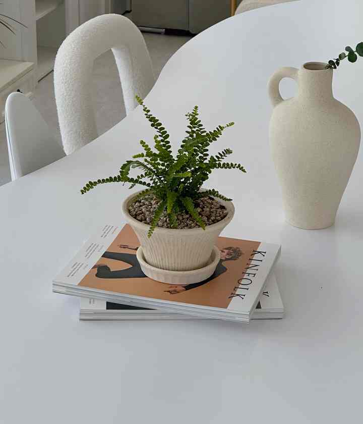 Minimal home cafe space with white dining table featuring a Deuppy fern plant in pot and beige ceramic vase