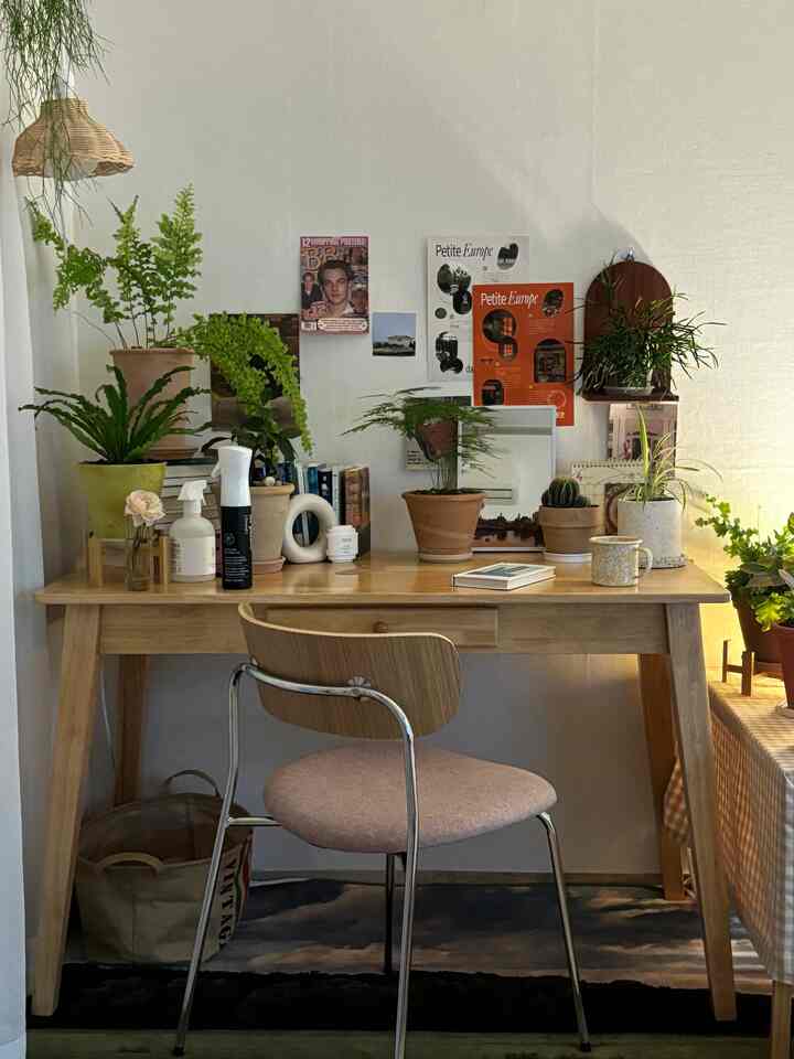 ナチュラルモダンのワンルーム作業スペース、ウッドデスクと多様な植物が配置された雰囲気のあるおうちカフェ空間