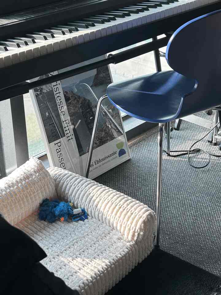 黒と木目調のピアノと青いスツール、青いおもちゃのある白い犬用ソファが配置されたモダンな音楽空間