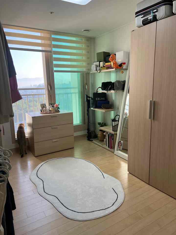 明るいウッドトーンとホワイトのクローゼットとチェストが配置された小さな部屋、窓辺で外を見る猫がいる温かみのある空間