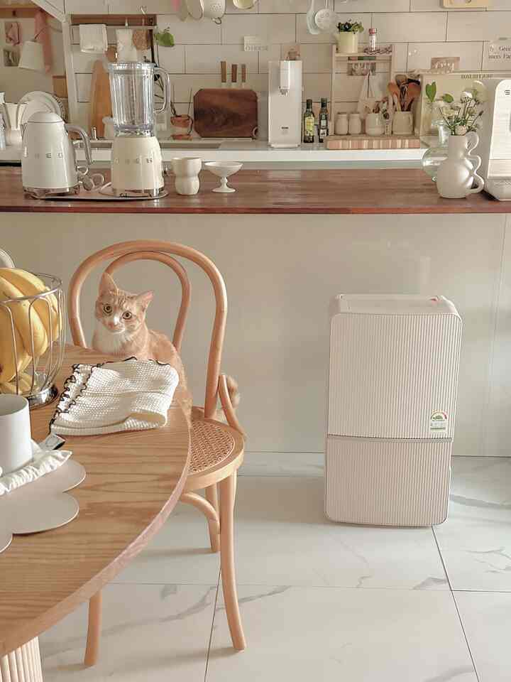 Natural and white toned kitchen space with dining table, chair, and a ginger cat sitting on the chair, creating a cozy atmosphere