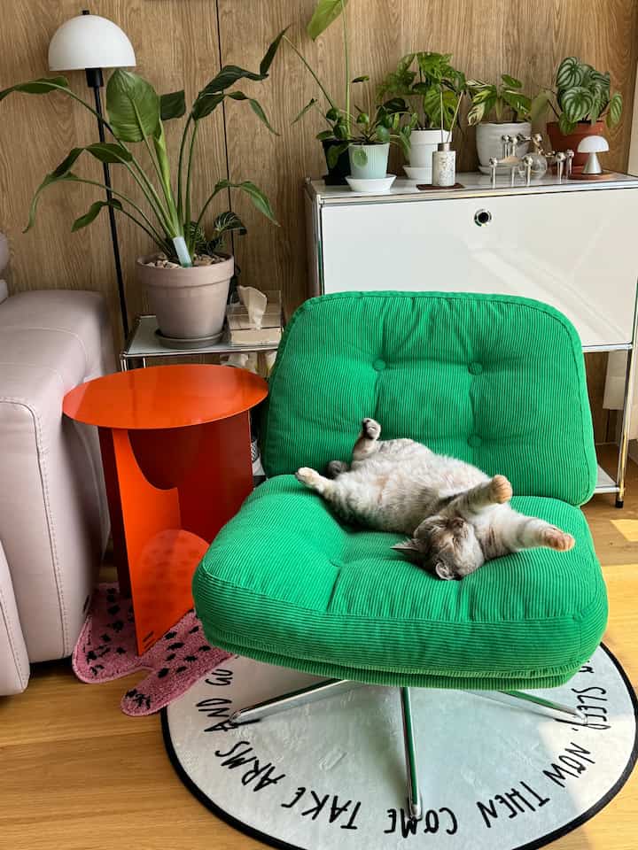 Living room with wood-tone walls, white cabinet, and a green armchair where a cat is lying down