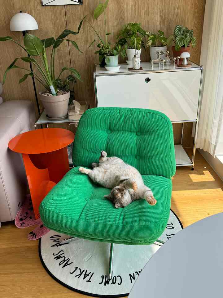 Natural wood-paneled space with green armchair, assorted plants, cozy living room scene featuring a relaxed cat