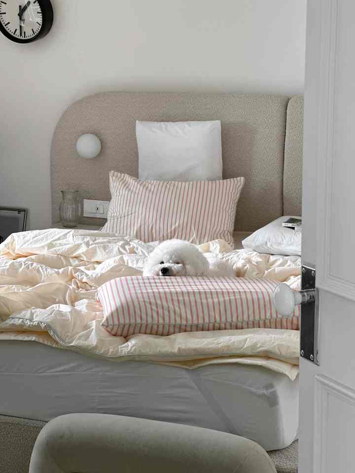 ナチュラルカラーの寝室、枕と寝具が配された落ち着いた空間に小さな白い犬がいる