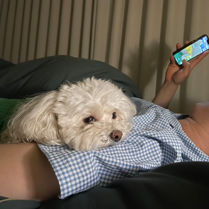 short form carousel card thumbnail