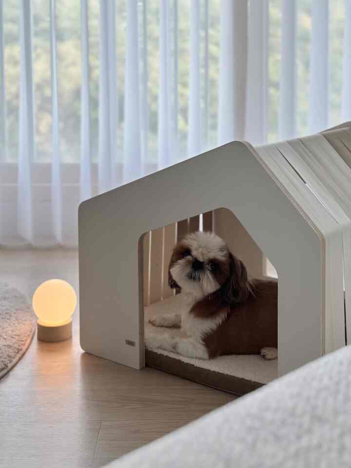 A cozy space with natural light through transparent curtains, wood-toned floor, and a modern pet house with a dog resting inside