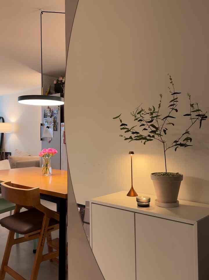 A butterfly plant with a pretty name and a soft breeze🌿
The leaves look like butterflies too.
I think the name was given because the way it moves looks like a butterfly 🙂
This is the view you see immediately when you enter the front door. 
A folding bicycle is stored in the closet. 
That chair also has a footrest so that children in second grade can use it, so it’s convenient☺️
This is a very satisfying product. 
The light is also wireless, so it can be easily moved around and used, making it very practical!!


#Planterior #식집사 #거실인테리어 #수납장 #조명인테리어 #유아체어 #렉슨 #셀프인테리어 #소품 {8 #Prop interior} #복도식아파트 #내돈내산 #조명 #테이블조명 #식물일기 #식물인테리어 #작은집인테리어 