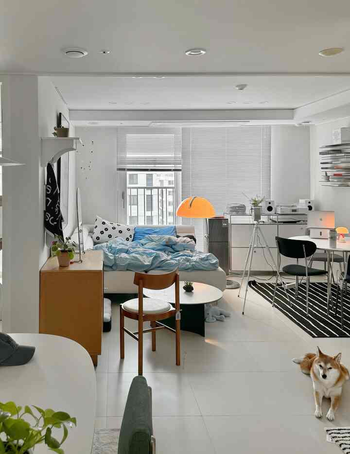 白を基調としたリビング兼ワークスペースのモダンなインテリア、中央に白いモジュラーソファベッドと寝具、床に犬がいる居心地の良い空間