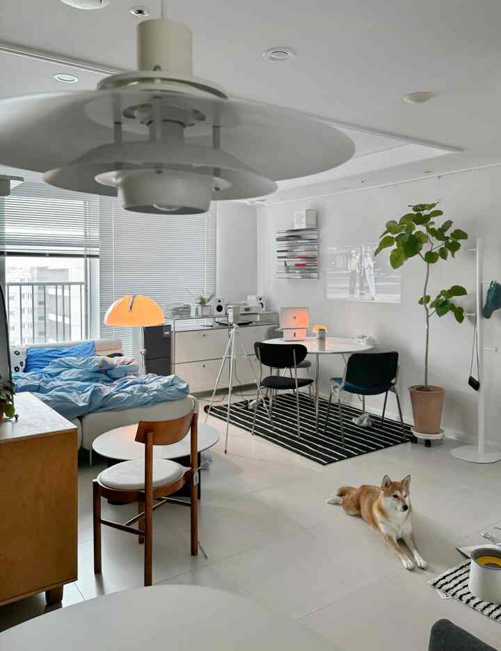 ホワイトとブラックのトーンのリビング、モダンなシンプル家具と犬が配置された雰囲気のあるインテリア。