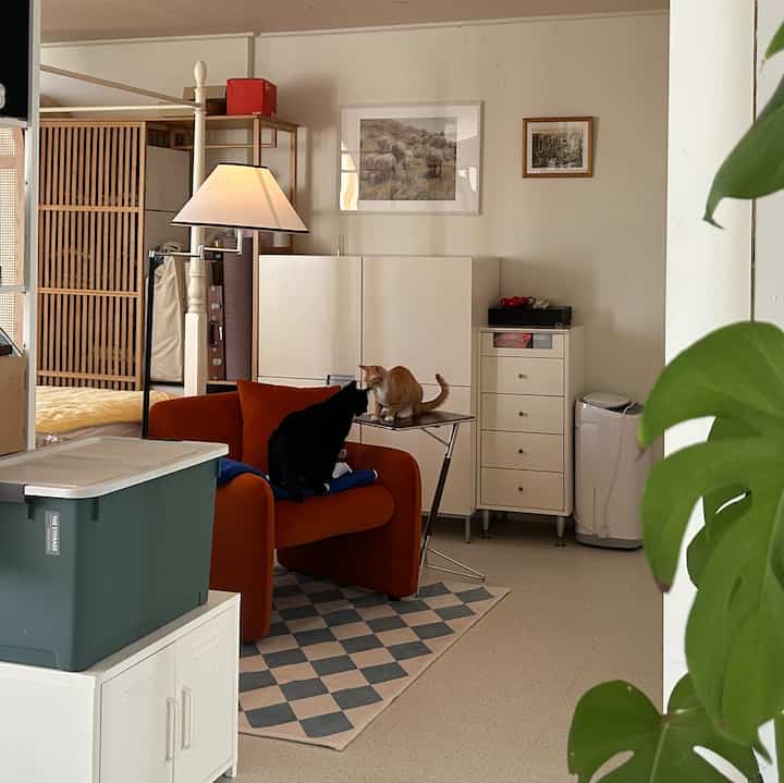 温かみのあるナチュラルカラーの寝室空間、濃いオレンジ色のソファとサイドテーブルの上にいる二匹の猫が配置された雰囲気のある読書スペース